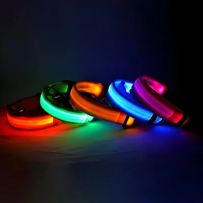 Dog Collar Nylon LED Night Safety Flashing Glow in the Dark Pet Dog Leash Pet Dogs Luminous Fluorescent Dog Accessories Collar